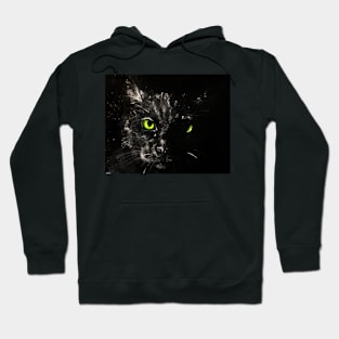 Kellas Cat Hoodie